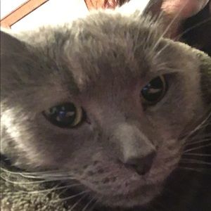 Meet your Posher, Kristy